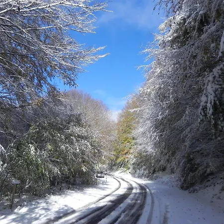 Il Cristallo-monte Amiata Chalet