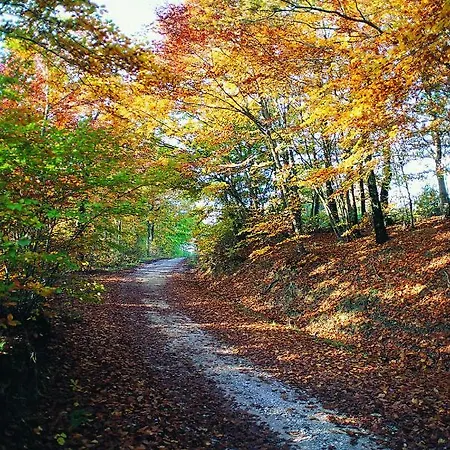 Il Cristallo-monte Amiata Castel del Piano (Tuscany)