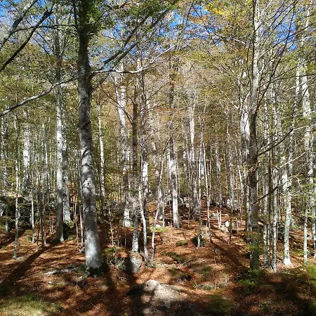 Il Cristallo-monte Amiata Chalet *