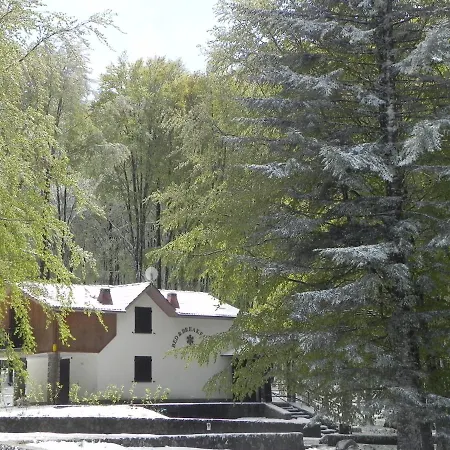 Il Cristallo-monte Amiata