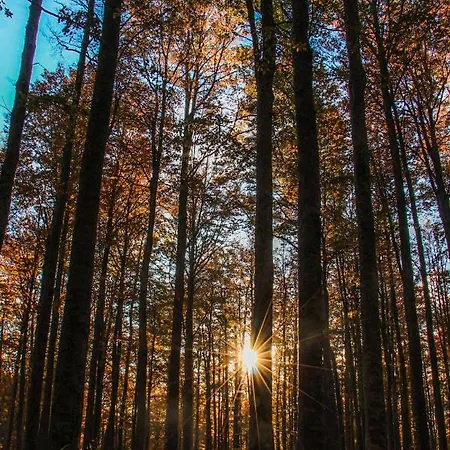 Il Cristallo-monte Amiata Chalet *